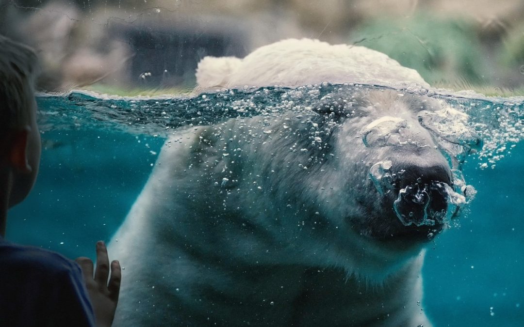 Solusi Digital untuk Meningkatkan Kepuasan Pengguna Layanan Imigrasi