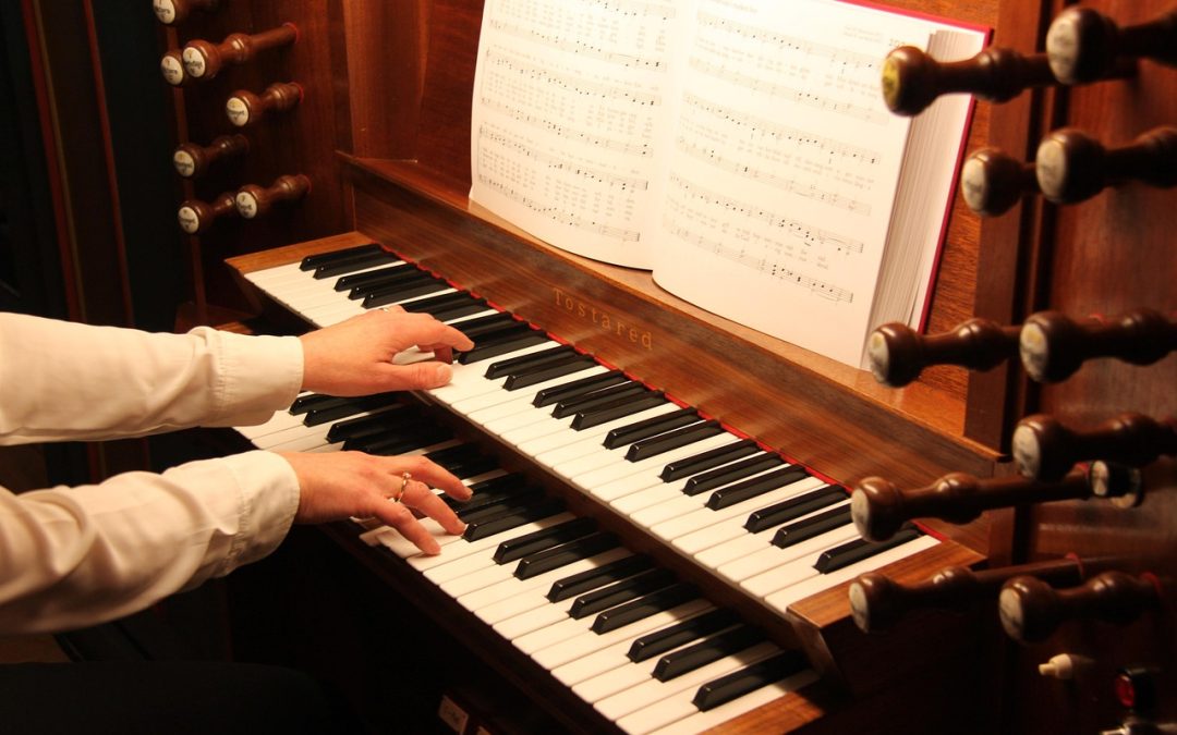 Kolaborasi dengan Startup Teknologi untuk Meningkatkan Layanan Imigrasi