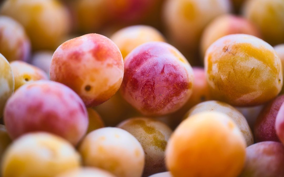 Masa Depan Kantor Imigrasi Pasaman Barat di Era Digital.